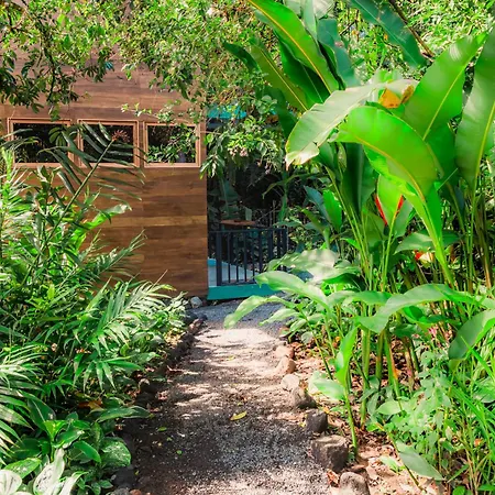 Arenal Getaway Apartment La Fortuna Exterior photo